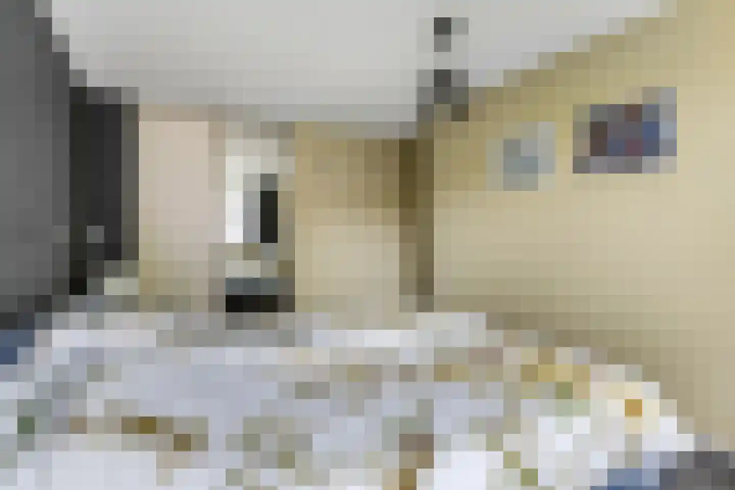 Frans Halsstraat 56 Voorthuizen thumbnail 18