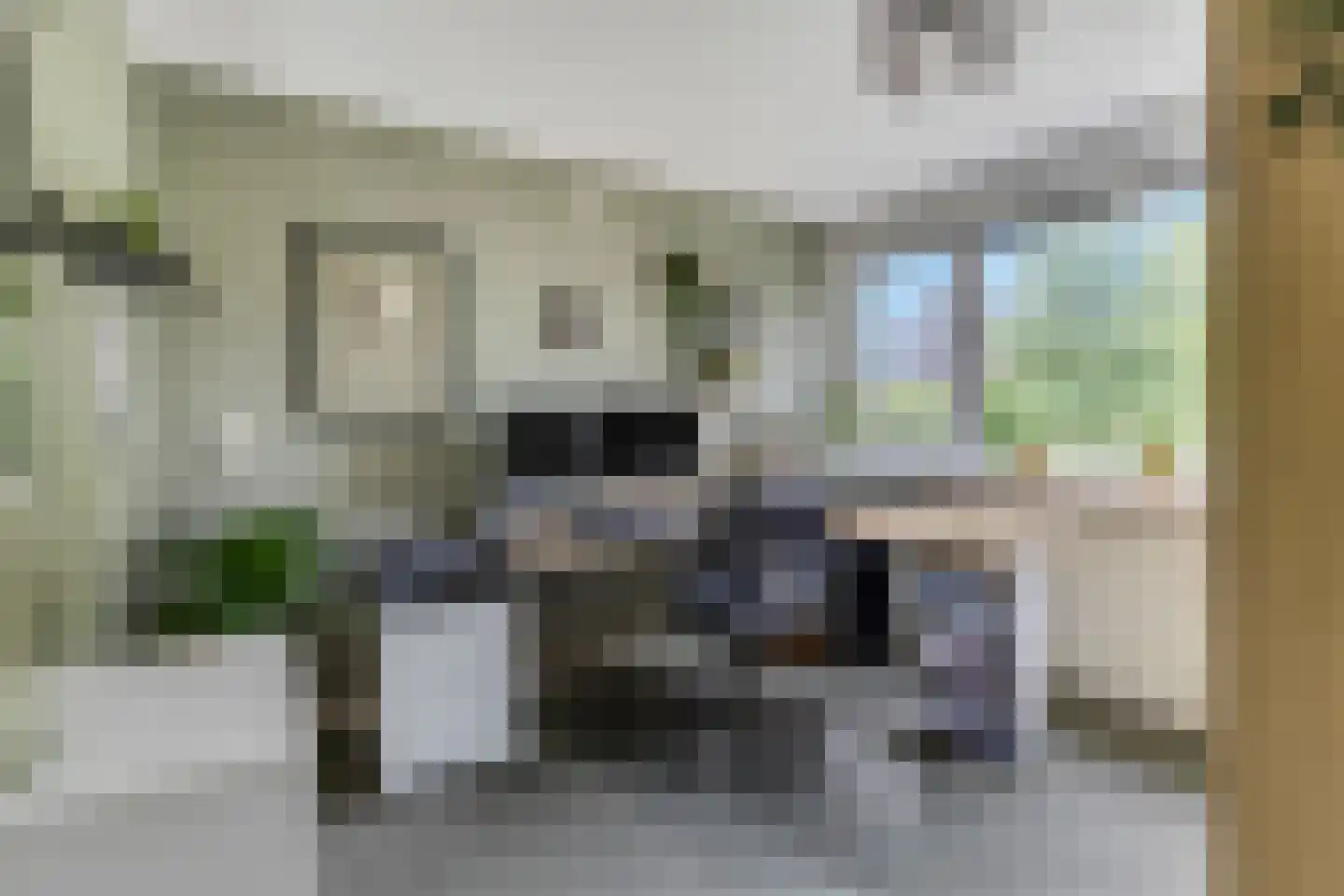 Frans Halsstraat 56 Voorthuizen thumbnail 19