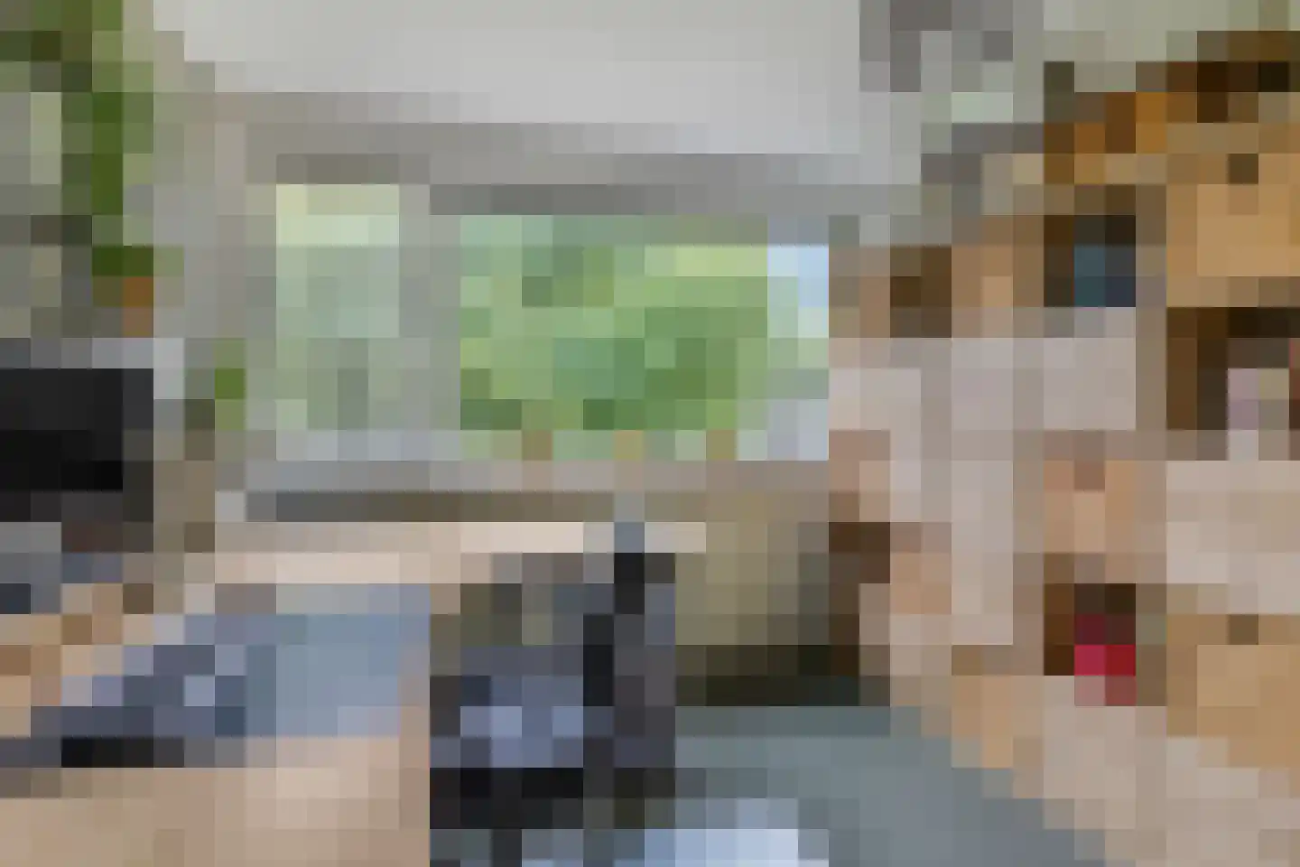 Frans Halsstraat 56 Voorthuizen thumbnail 20