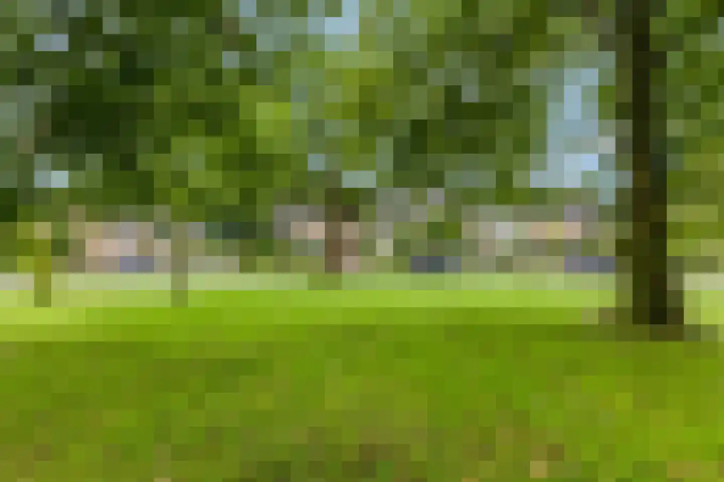 Frans Halsstraat 56 Voorthuizen thumbnail 38