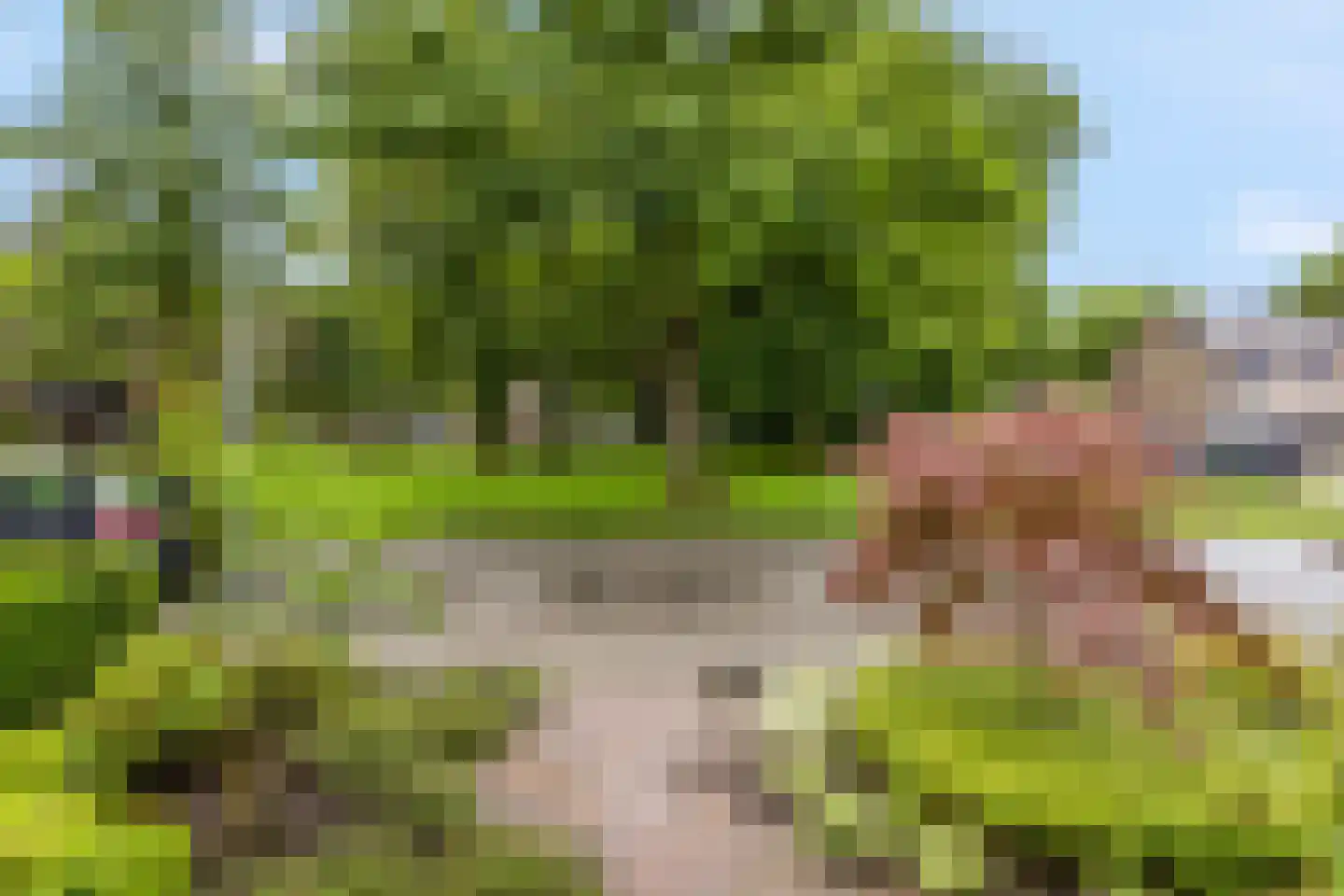 Frans Halsstraat 56 Voorthuizen thumbnail 7