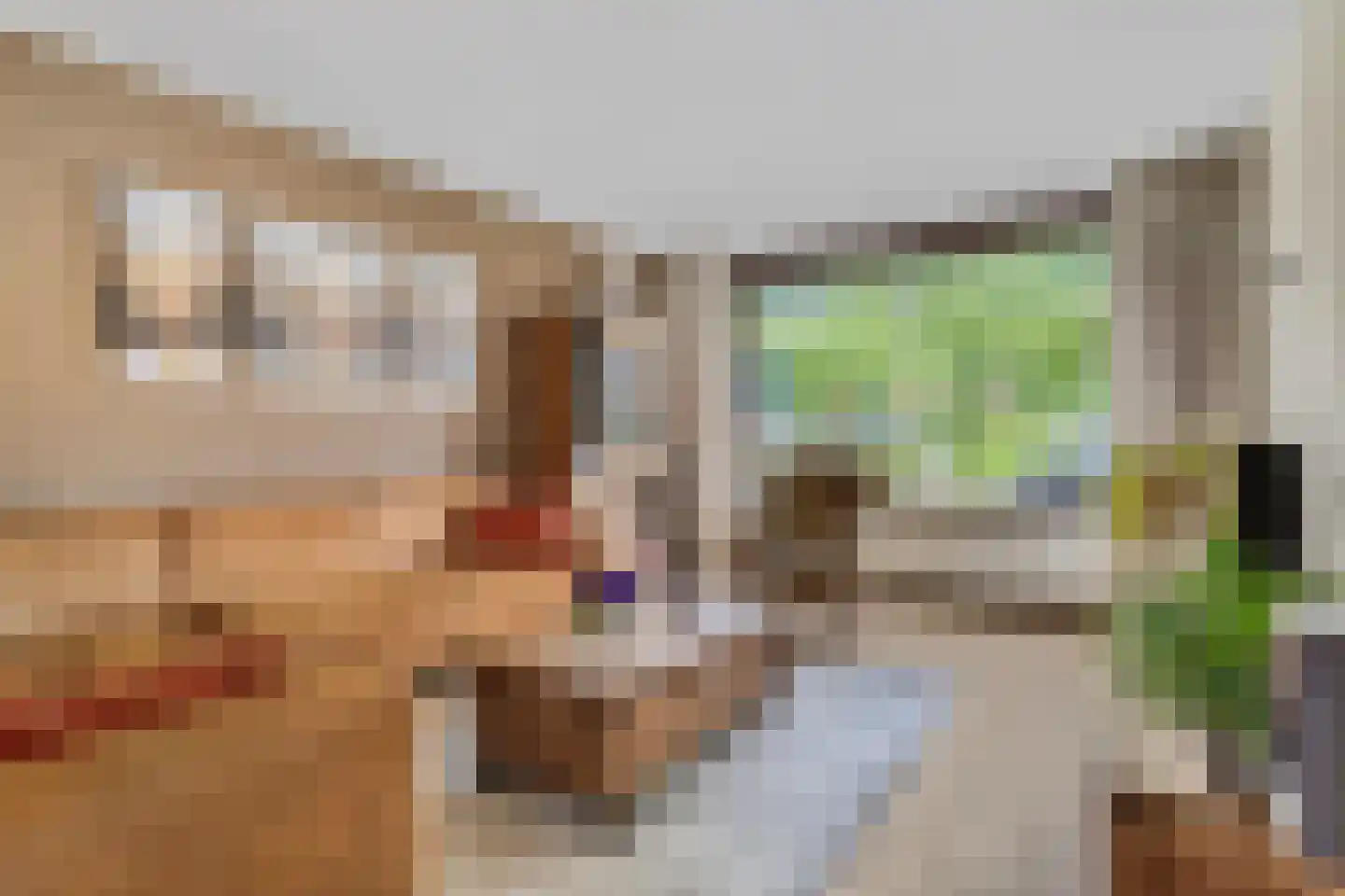 Frans Halsstraat 56 Voorthuizen thumbnail 8