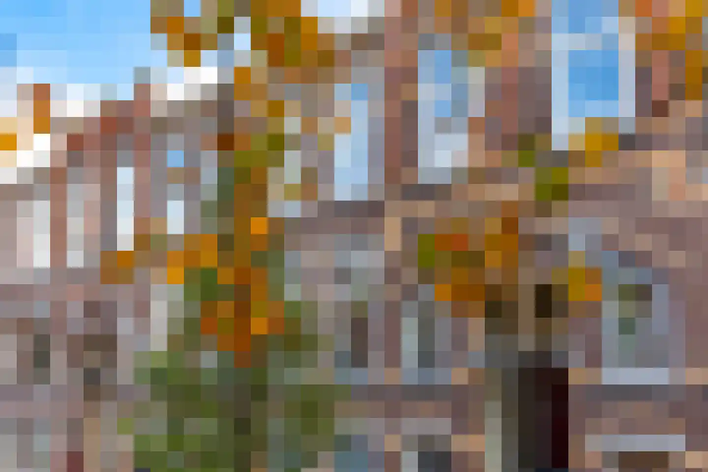 Frans Halsstraat 58 Den Haag thumbnail 35