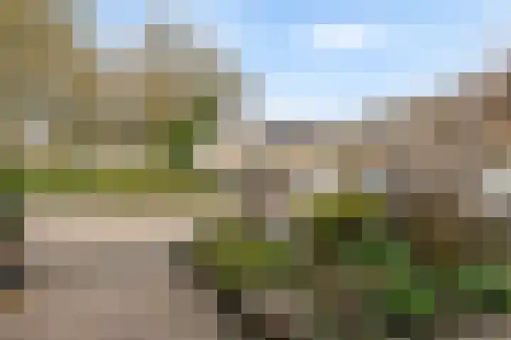 Frans Halsstraat 59 Lisse thumbnail 33
