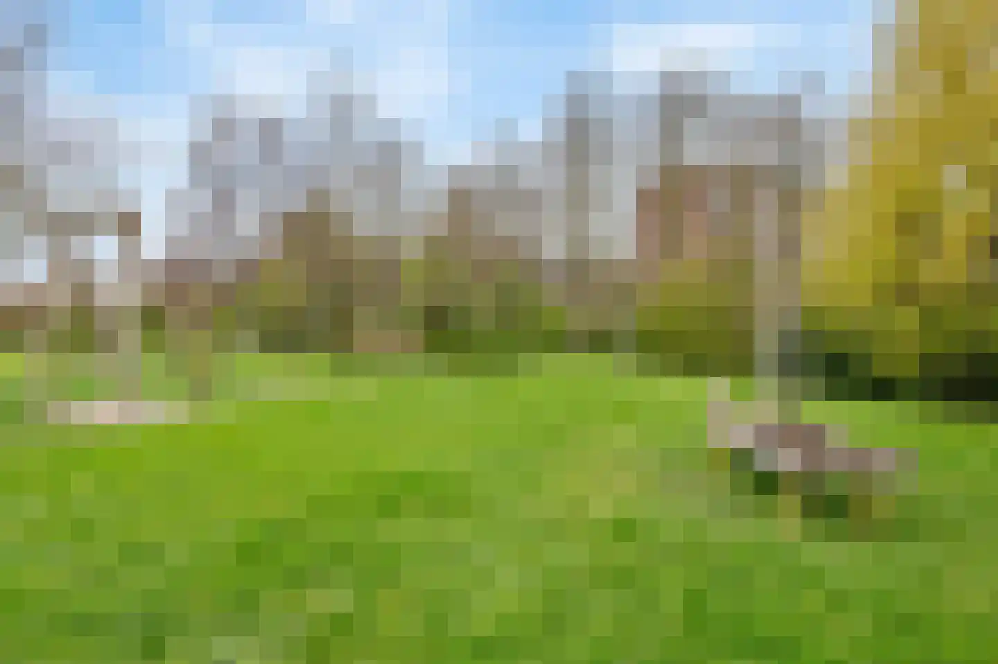 Frans Halsstraat 59 Lisse thumbnail 37