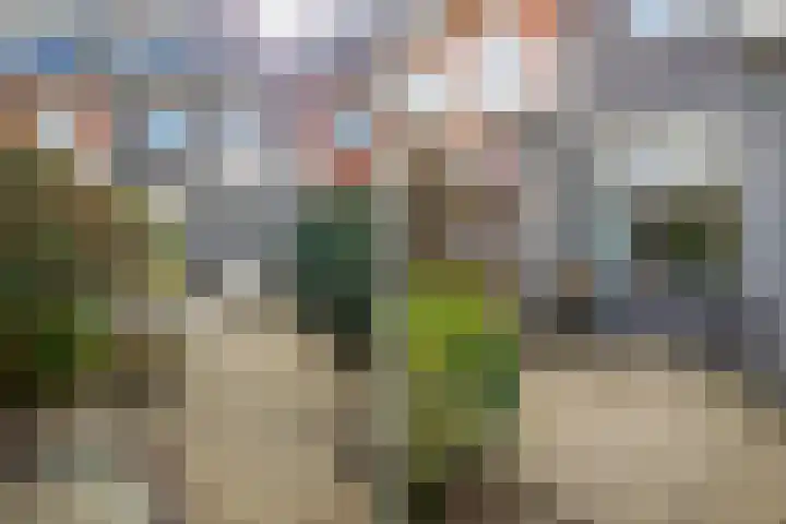 Frans Halsstraat 6 Alkmaar thumbnail 39