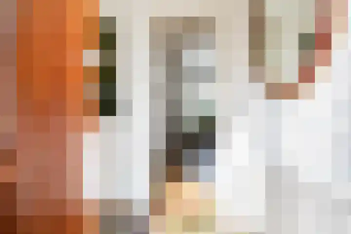 Frans Halsstraat 6 Alkmaar thumbnail 8
