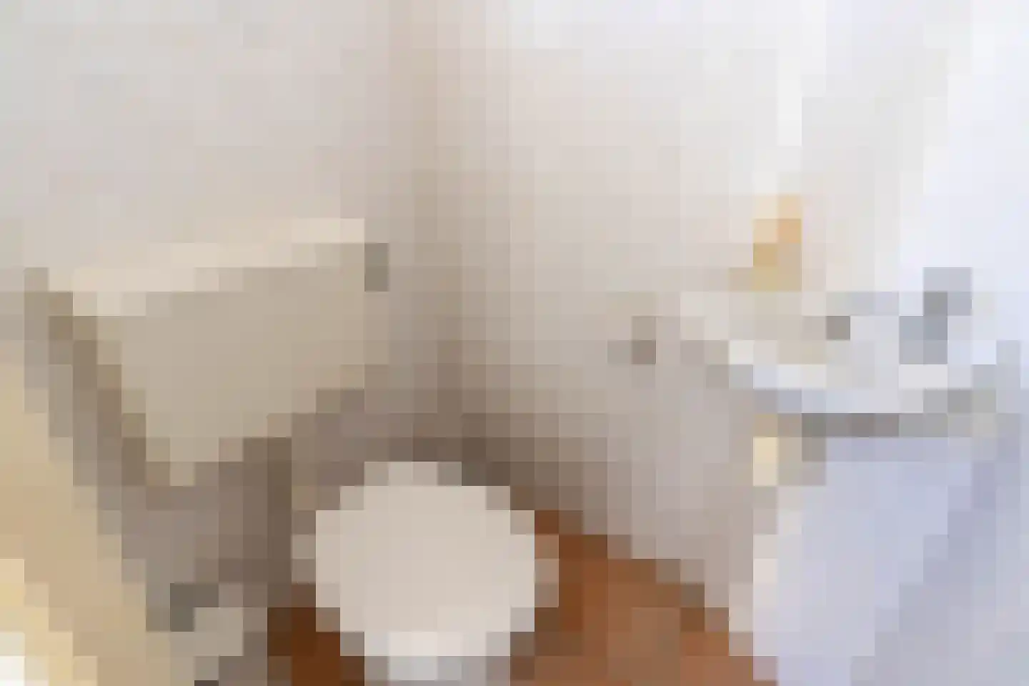 Frans Halsstraat 6 Bergen L thumbnail 10