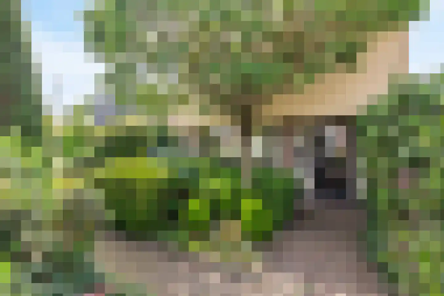 Frans Halsstraat 6 Haaksbergen thumbnail 6