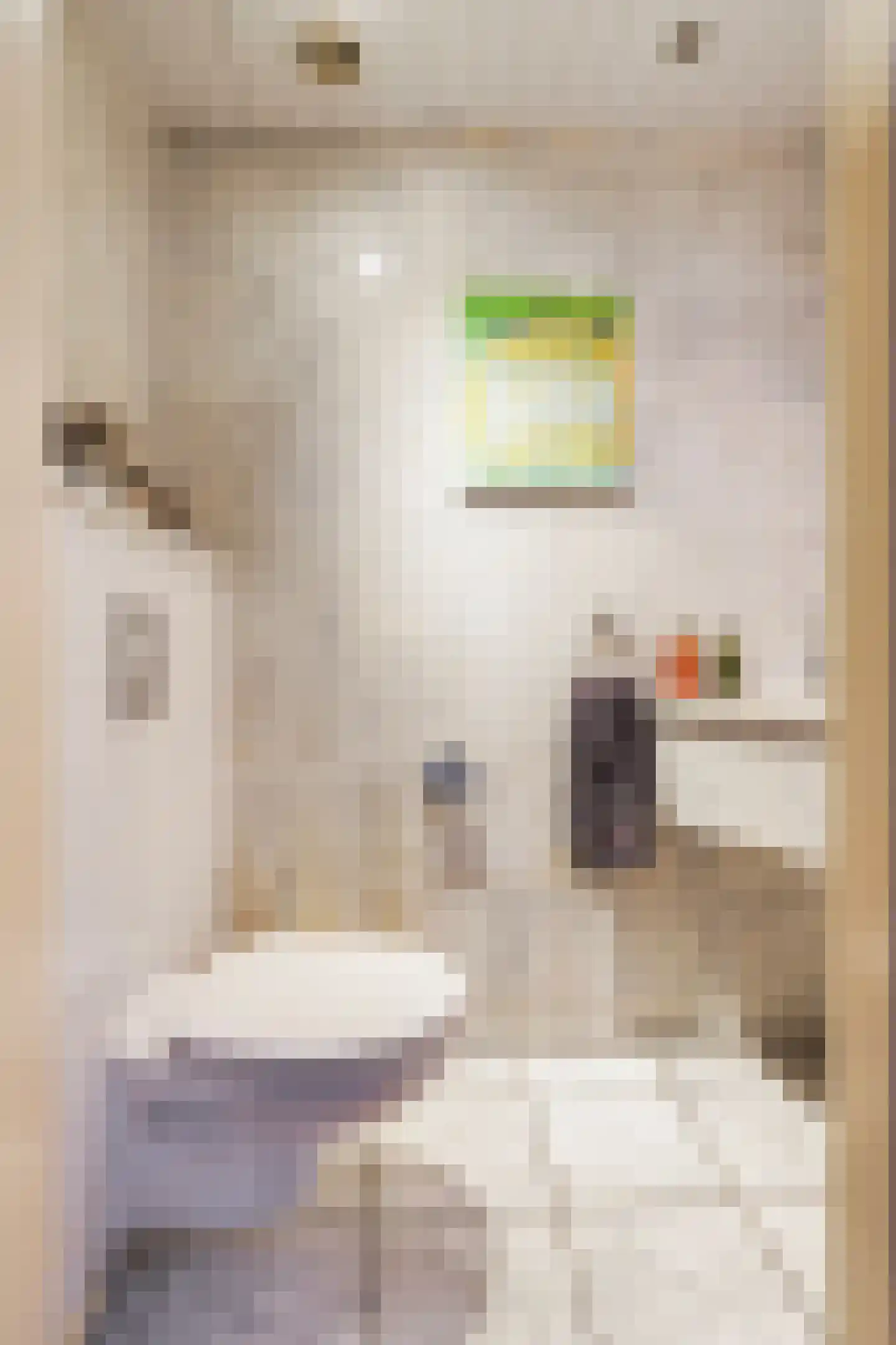 Frans Halsstraat 6 Sprang-Capelle thumbnail 18