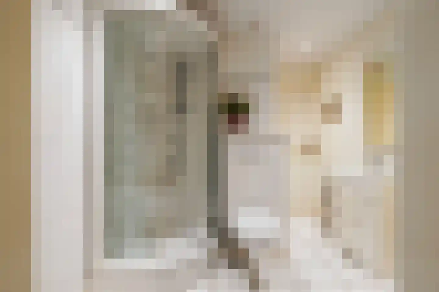 Frans Halsstraat 6 Sprang-Capelle thumbnail 24