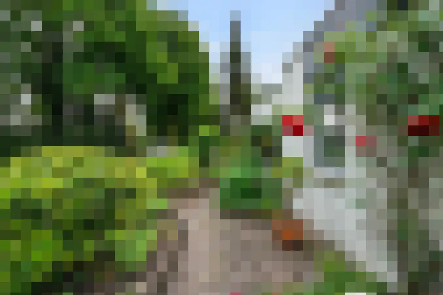 Frans Halsstraat 6 Sprang-Capelle thumbnail 39