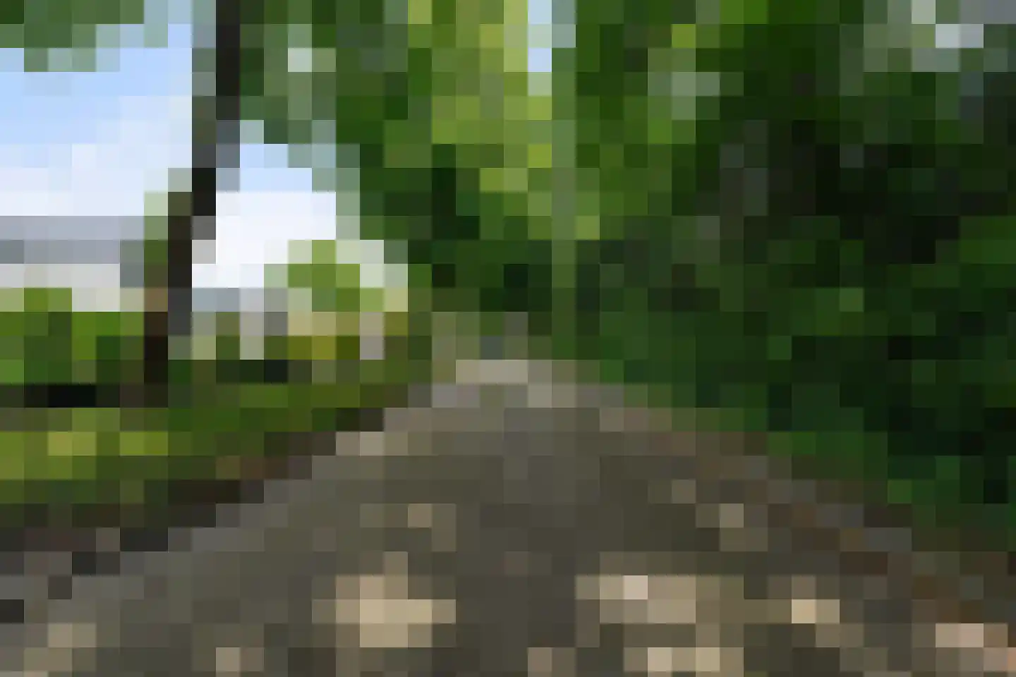 Frans Halsstraat 6 Sprang-Capelle thumbnail 42