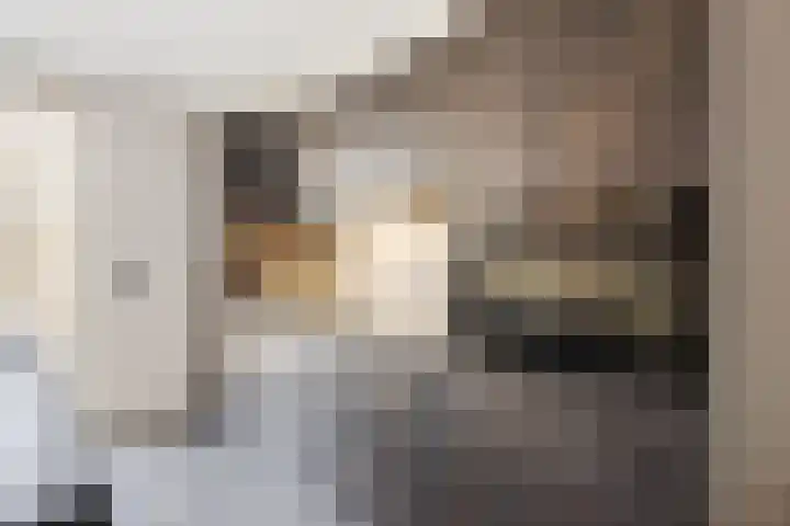 Frans Halsstraat 6 Voorthuizen thumbnail 10