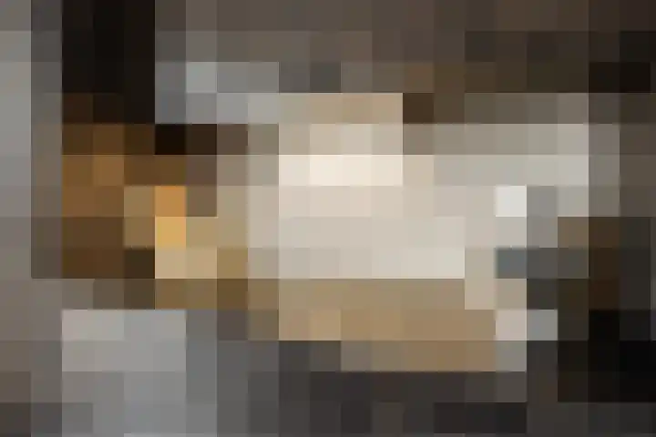 Frans Halsstraat 6 Voorthuizen thumbnail 14