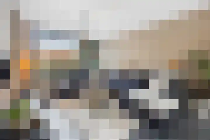 Frans Halsstraat 6 Voorthuizen thumbnail 18
