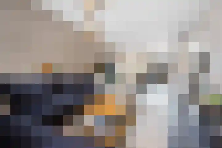 Frans Halsstraat 6 Voorthuizen thumbnail 19