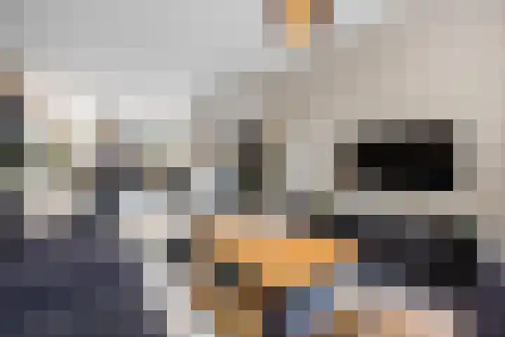 Frans Halsstraat 6 Voorthuizen thumbnail 20