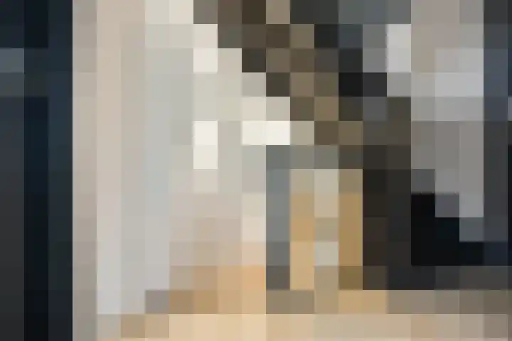 Frans Halsstraat 6 Voorthuizen thumbnail 21