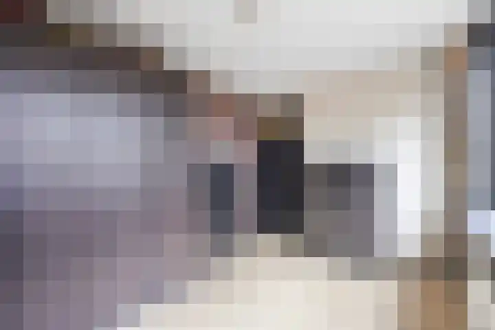 Frans Halsstraat 6 Voorthuizen thumbnail 27