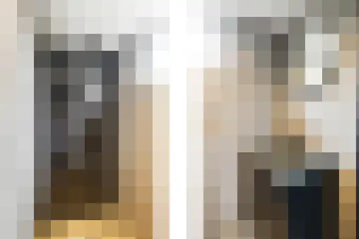 Frans Halsstraat 6 Voorthuizen thumbnail 28