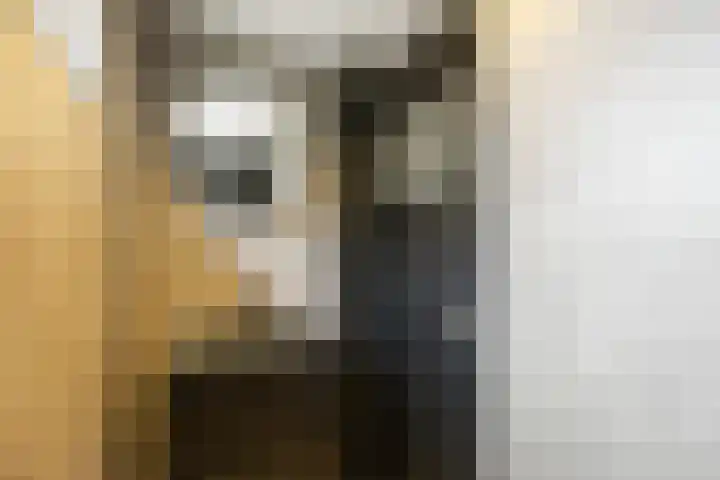 Frans Halsstraat 6 Voorthuizen thumbnail 29