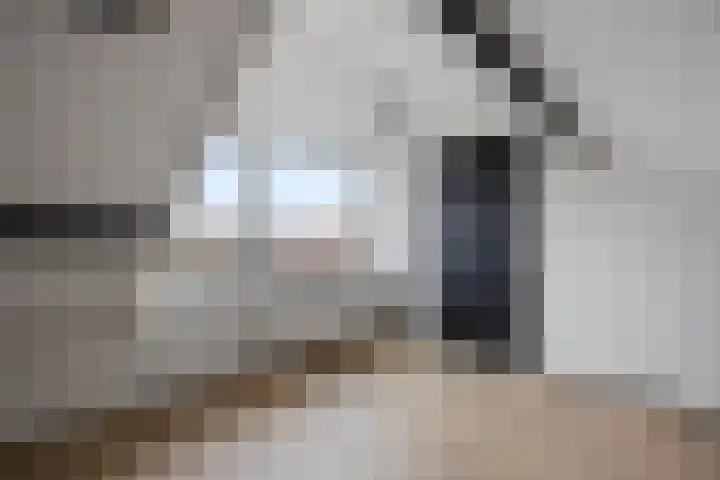 Frans Halsstraat 6 Voorthuizen thumbnail 31