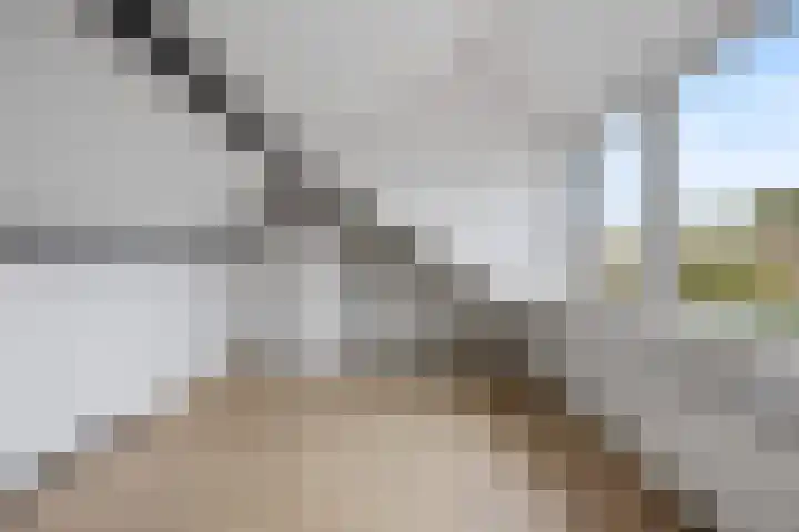 Frans Halsstraat 6 Voorthuizen thumbnail 33