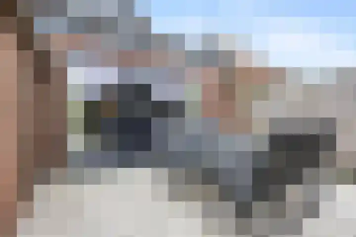 Frans Halsstraat 6 Voorthuizen thumbnail 35