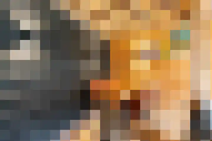 Frans Halsstraat 6 Voorthuizen thumbnail 39