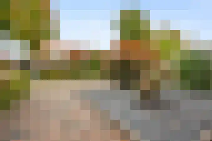 Frans Halsstraat 6 Voorthuizen thumbnail 4