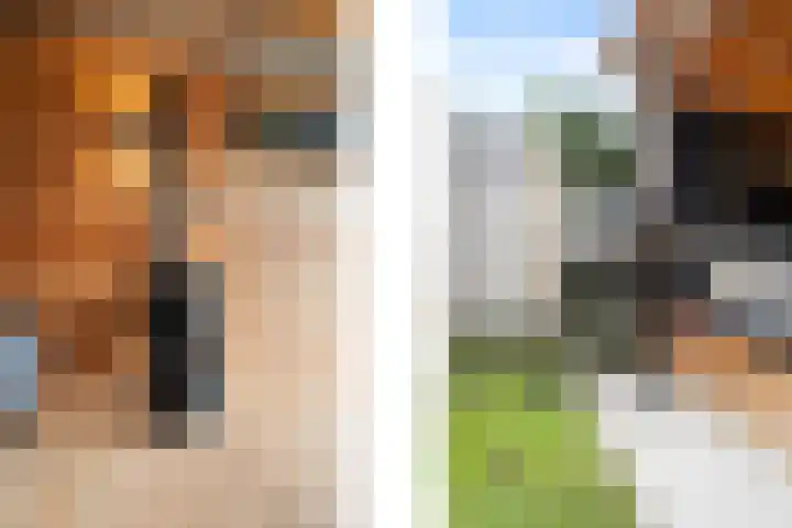 Frans Halsstraat 6 Voorthuizen thumbnail 40