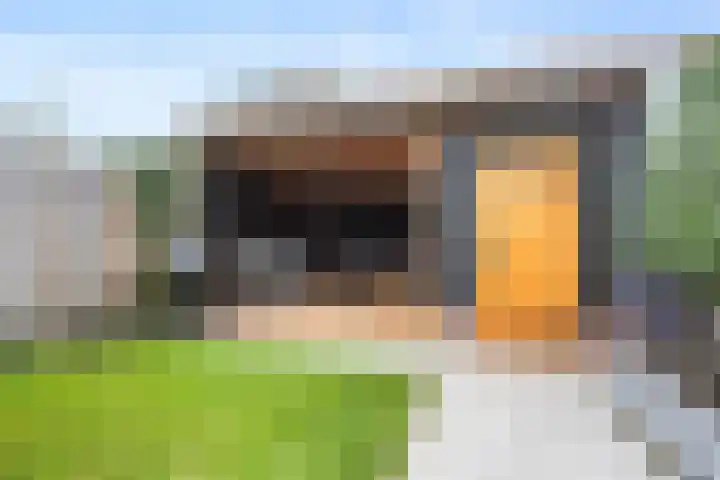 Frans Halsstraat 6 Voorthuizen thumbnail 41