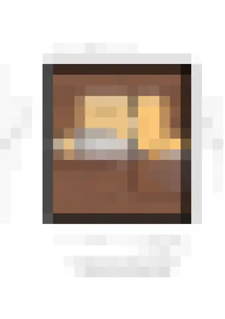 Frans Halsstraat 6 Voorthuizen thumbnail 48