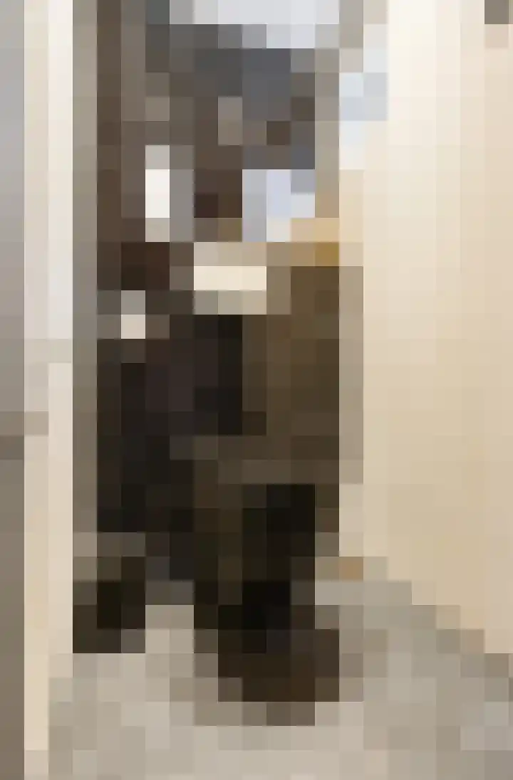 Frans Halsstraat 6 Voorthuizen thumbnail 7