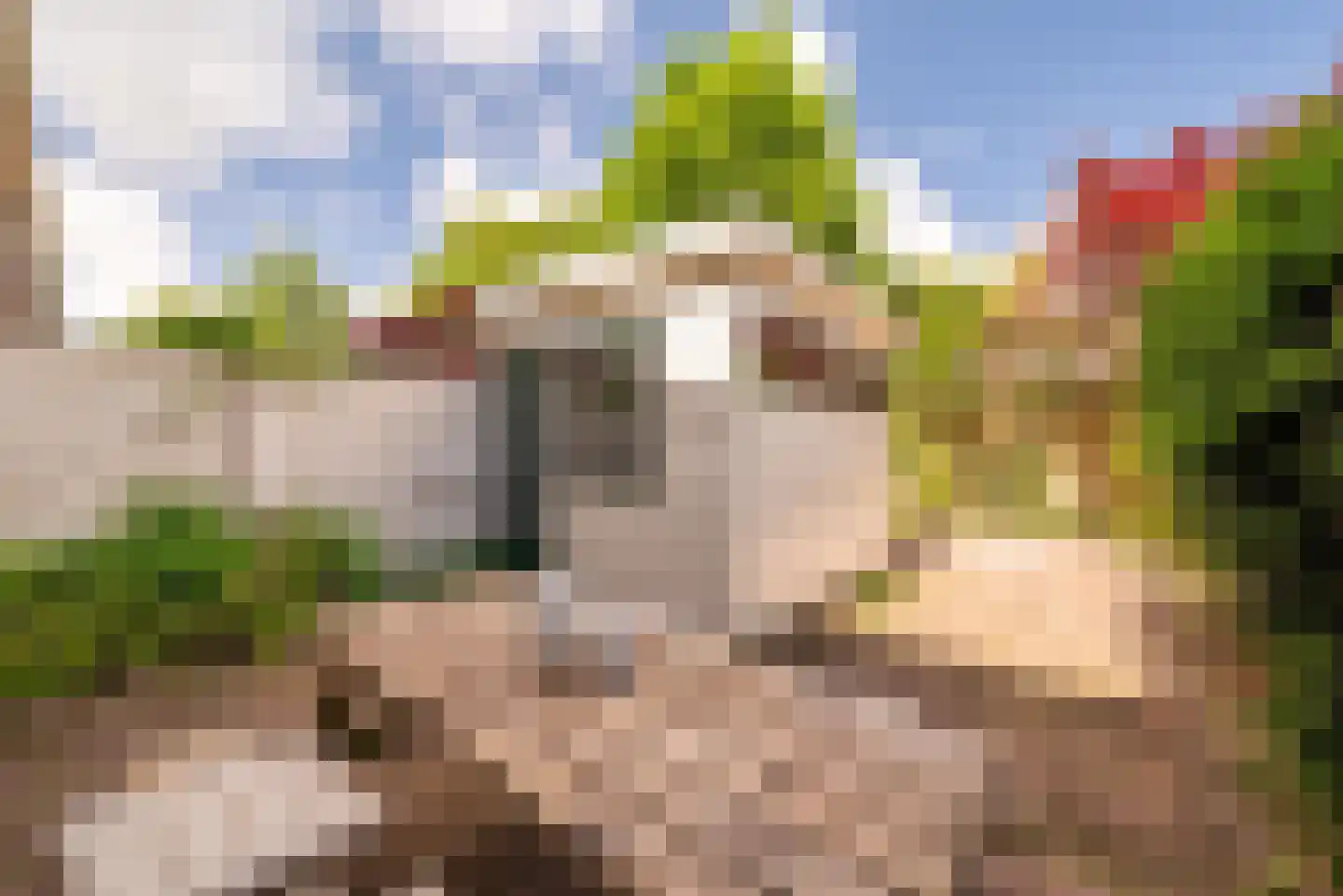 Frans Halsstraat 60 Zaandam thumbnail 12