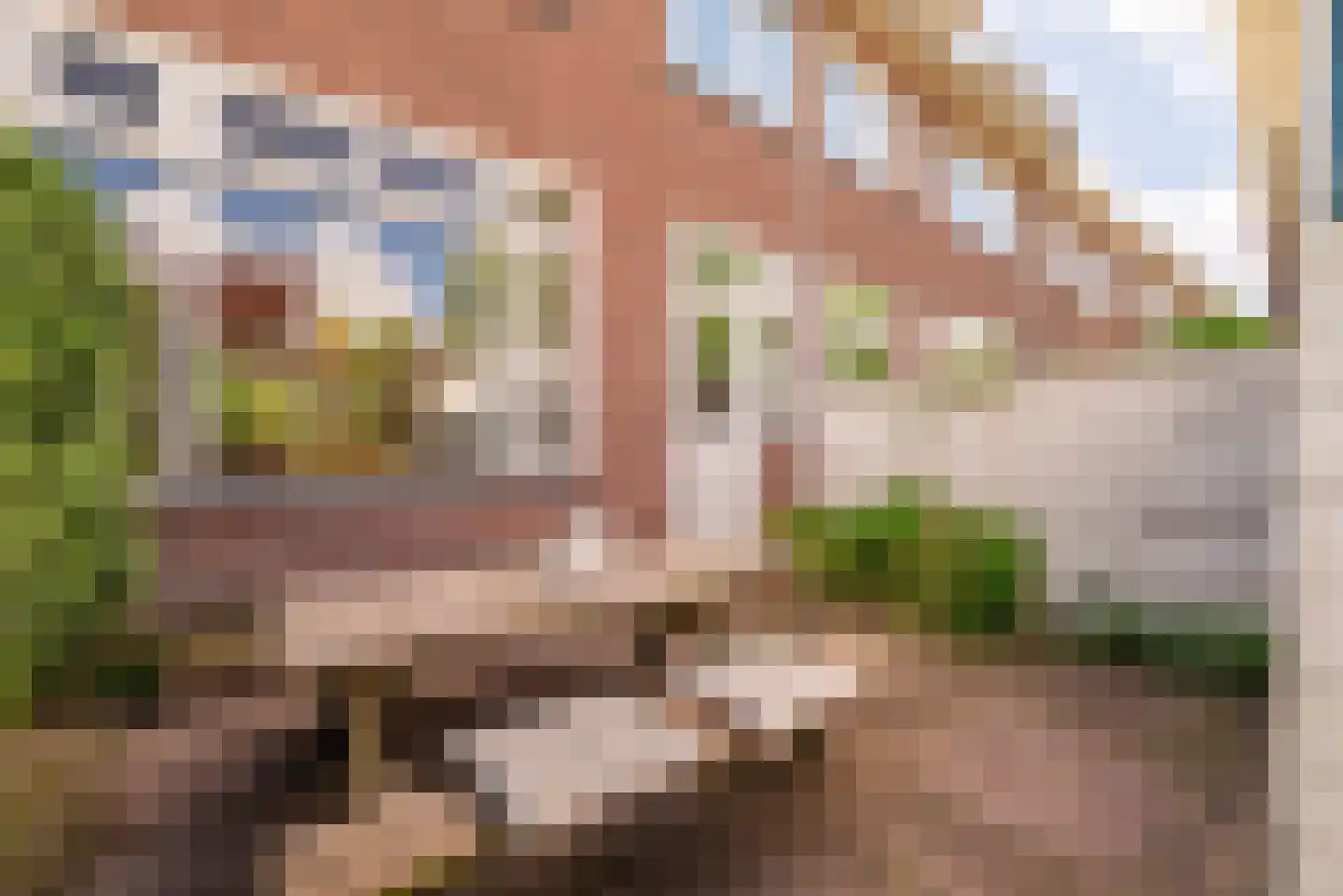 Frans Halsstraat 60 Zaandam thumbnail 13