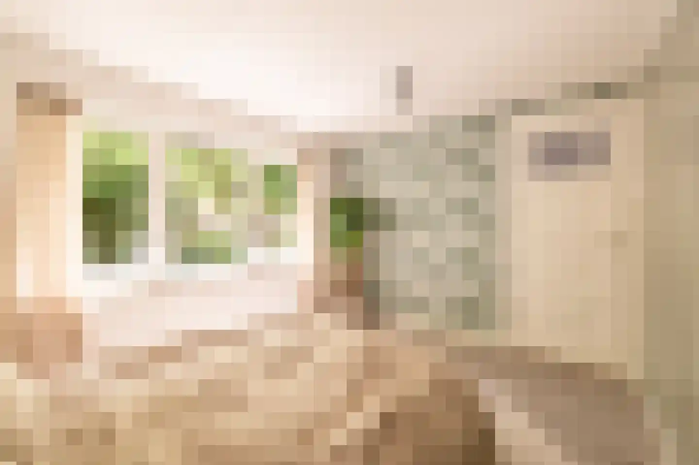 Frans Halsstraat 60 Zaandam thumbnail 17