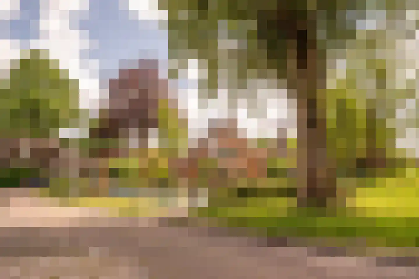 Frans Halsstraat 60 Zaandam thumbnail 30