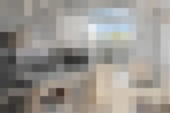 Frans Halsstraat 61 Spijkenisse thumbnail 13