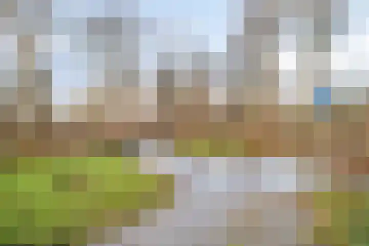 Frans Halsstraat 61 Spijkenisse thumbnail 19