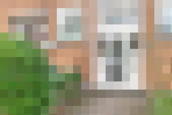 Frans Halsstraat 61 Spijkenisse thumbnail 4