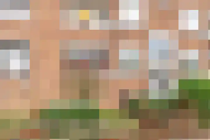 Frans Halsstraat 61 Spijkenisse thumbnail 5