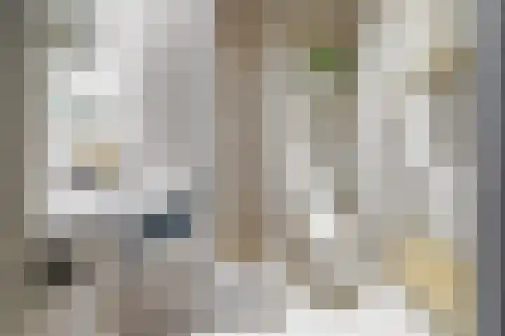 Frans Halsstraat 65 Lisse thumbnail 37