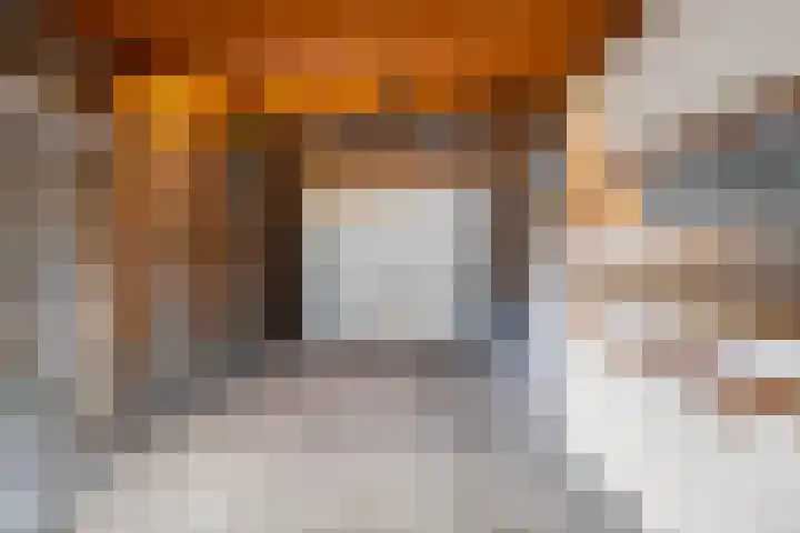 Frans Halsstraat 65 Lisse thumbnail 48