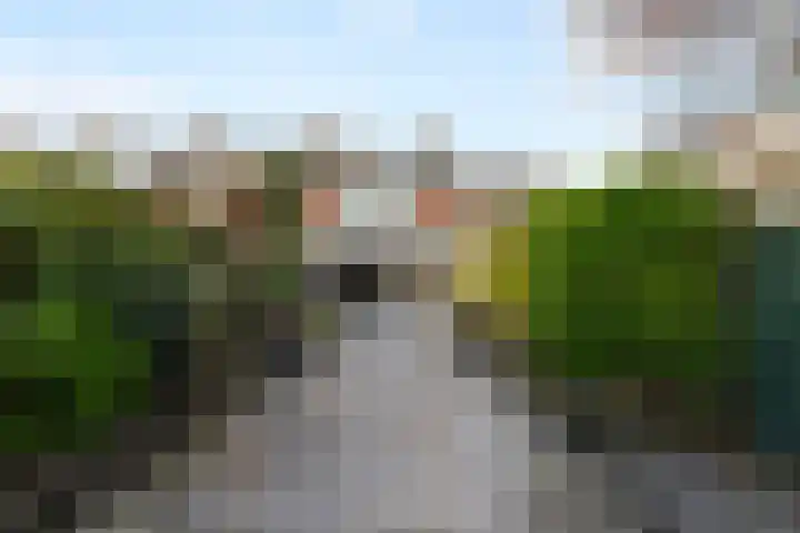 Frans Halsstraat 65 Lisse thumbnail 52