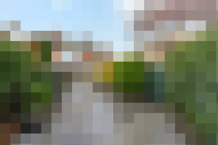 Frans Halsstraat 65 Lisse thumbnail 53