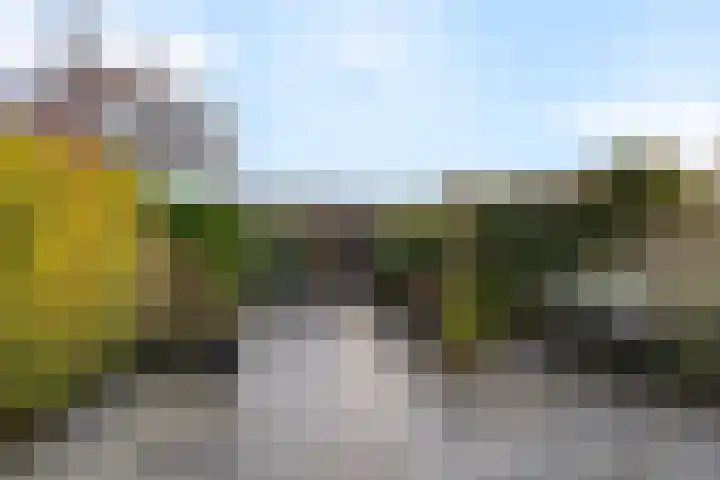 Frans Halsstraat 65 Lisse thumbnail 54