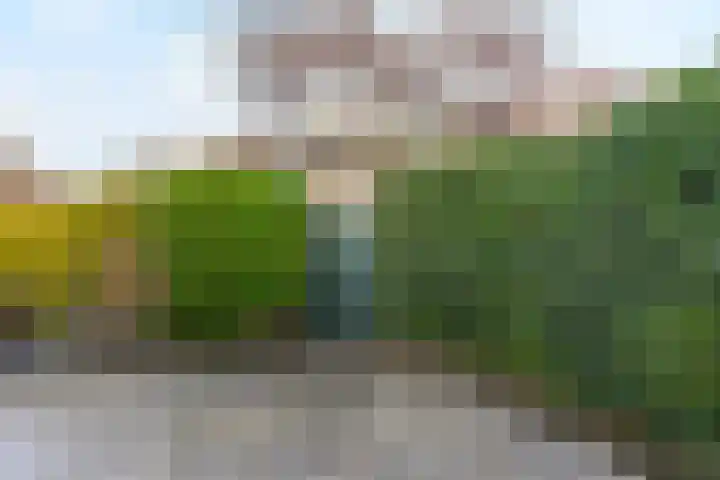 Frans Halsstraat 65 Lisse thumbnail 56