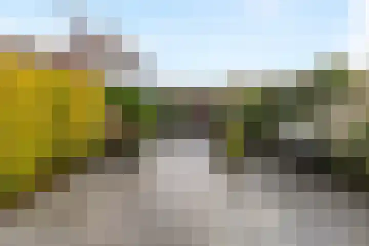 Frans Halsstraat 65 Lisse thumbnail 57